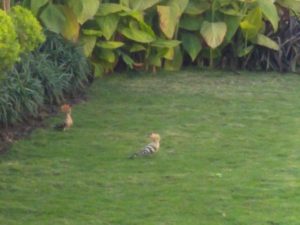 nature retreat Bhopal